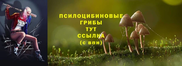 стаф Белоозёрский