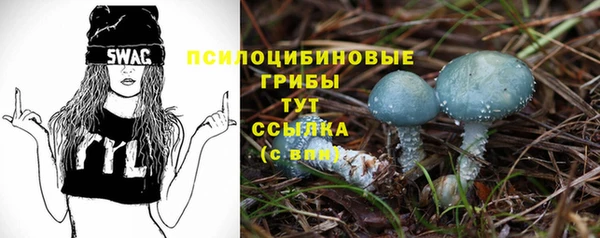 крисы Беломорск