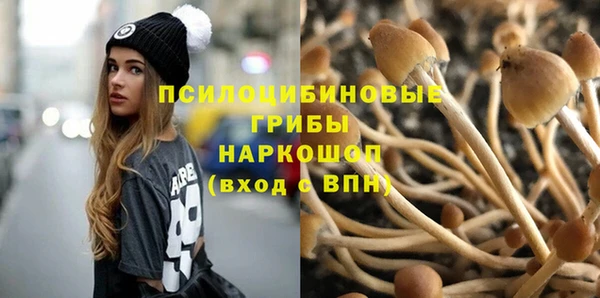 стаф Белоозёрский