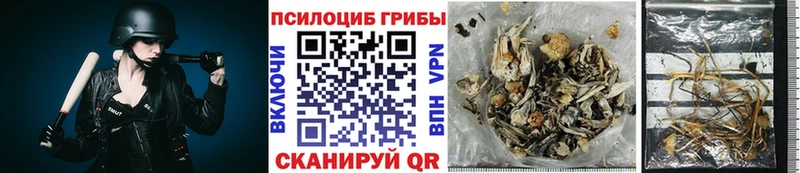 Псилоцибиновые грибы мухоморы Динская