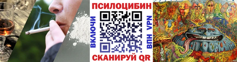 Купить где  Динская  Псилоцибиновые грибы GOLDEN TEACHER 